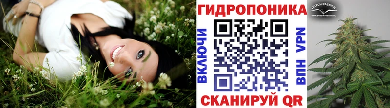 закладки  Туапсе  Конопля сатива 