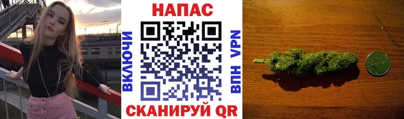 Бошки Шишки план Туапсе